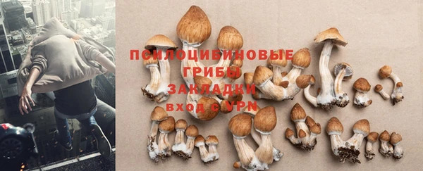 эйфоретик Алексин