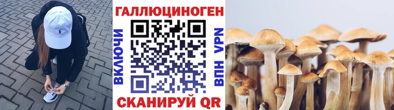 цена   kraken ССЫЛКА  Псилоцибиновые грибы MAGIC MUSHROOMS  Гвардейск 